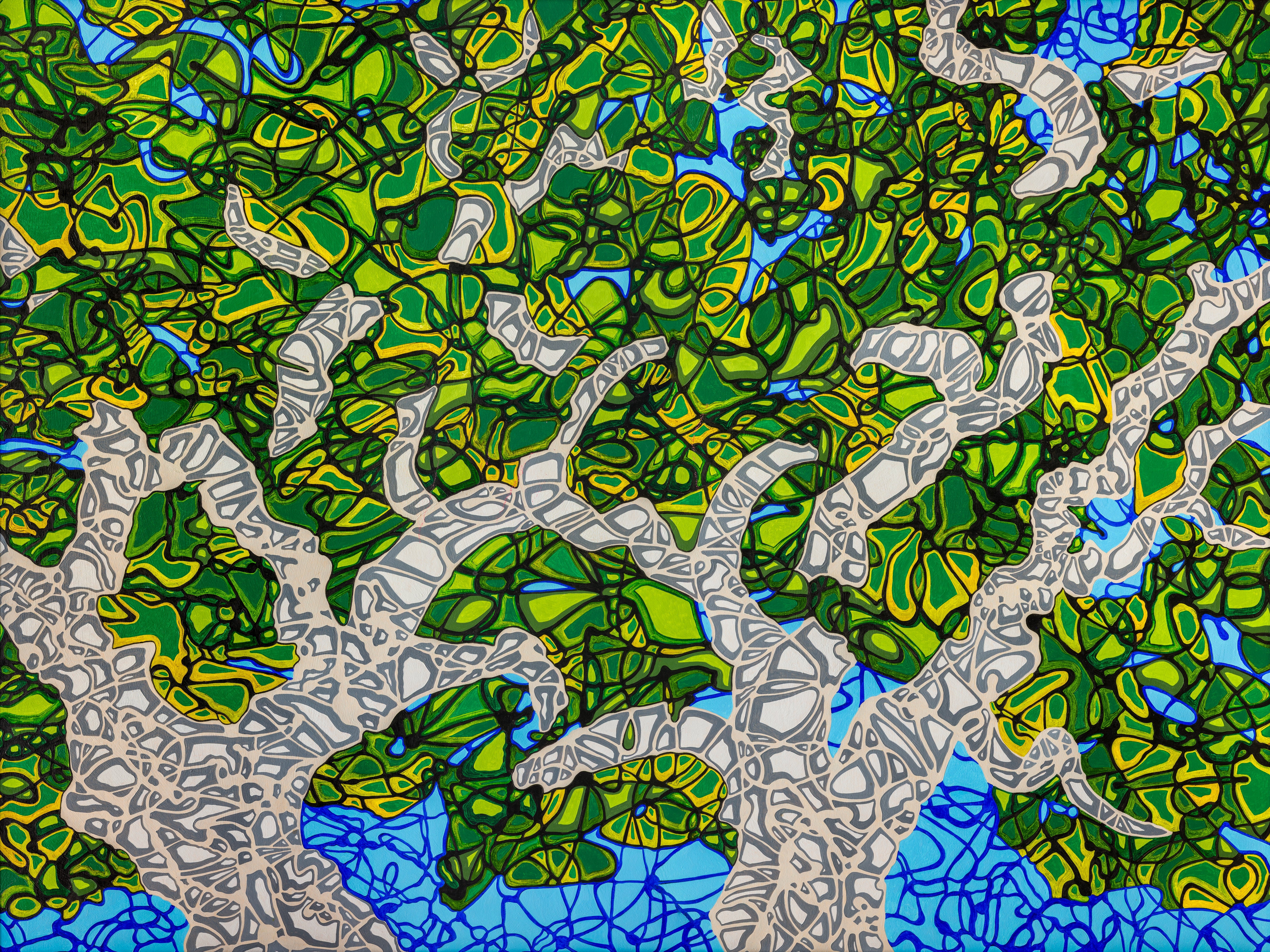 Oak Lane - 40" x 30" - Print